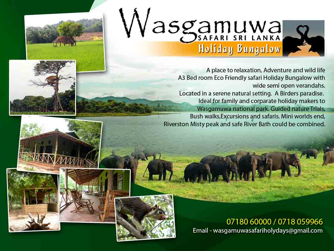 wasgamuwa safari lodge